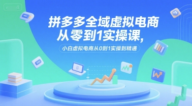 拼多多全域虚拟电商从零到1实操课，小白虚拟电商从0到1实操到精通-轻创终点站