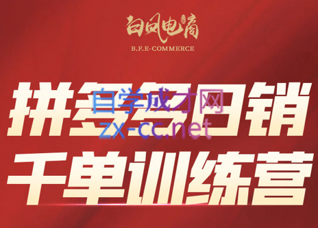 白凤电商·拼多多日销千单训练营(更新6月)-轻创终点站