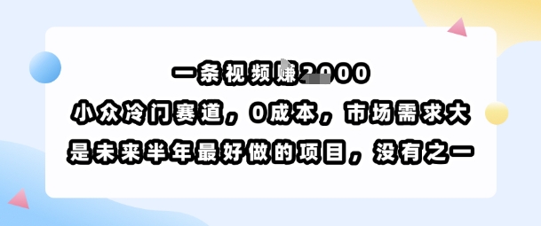 一条视频挣1k，小众冷门赛道，0成本，市场需求大，是未来半年最好做的项目，没有之一-轻创终点站