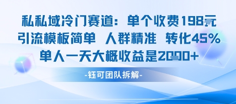 私域冷门赛道单个收费198米引流模板简单人群精准 45%的转化率单人一天大概收益多张-轻创终点站