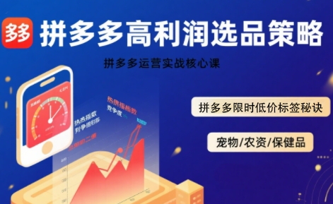 拼多多选品暴利技术实战课，拼多多高利润选品策略，拼多多限时低价标签秘诀-轻创终点站