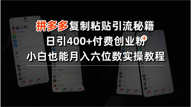 拼多多复制粘贴引流秘籍，日引400+付费创业粉，小白也能月入六位数实操…-轻创终点站