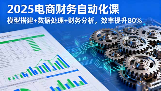 2025电商财务自动化课，模型搭建+数据处理+财务分析，效率提升80%-轻创终点站