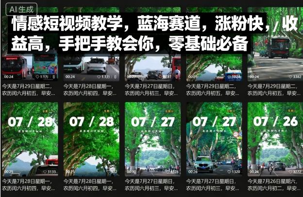 情感短视频教学，蓝海赛道，涨粉快，收益高，手把手教会你，零基础必备-轻创终点站