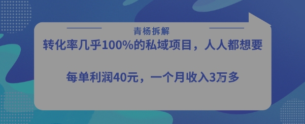 转化率最高的私域项目，每单利润40-50米，月入过1w-轻创终点站
