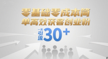 零基础零成本简单高效获客创业粉，一天引流30+-轻创终点站