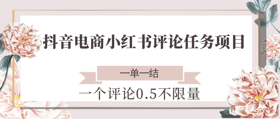 抖音电商小红书评论任务项目，一个评论0.5，一单一结 不限量-轻创终点站