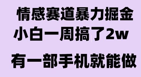 情感暴力掘金项目，新人操作一周挣了2W，长期稳定小白可做【揭秘】-轻创终点站