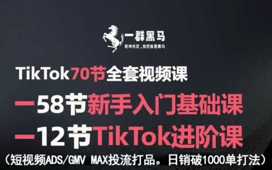 TikTok全套视频课，新手入门+进阶课，短视频ADS-GMV MAX投流打品，日销破1000单打法-轻创终点站