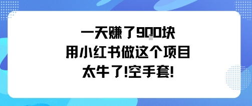 一天挣了9张用小红书做这个项目太牛了，空手套-轻创终点站