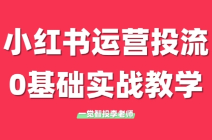 李老师·小红书运营投流，0基础实战教学(更新)-轻创终点站