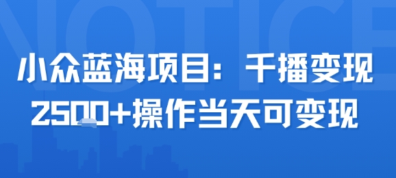 小众蓝海项目，千播变现2.5k+操作当天可变现-轻创终点站