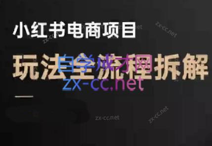 菲菲老师·小红书电商玩法(更新7月)-轻创终点站