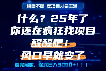 什么？25年你还在疯狂找项目做，醒醒吧，看完这些你全都懂了！【揭秘】-轻创终点站