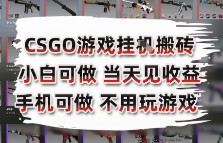 CSGO游戏挂G搬砖，小白纯手机即可操作，不用电脑打游戏，日入3张+，副业网创项目【揭秘】-轻创终点站