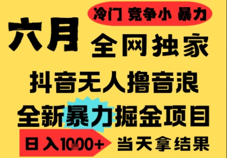 25年6月高爆抖音无人直播最新撸音浪掘金项目，小白可做，无脑日入1k+，门槛低可批量矩阵【揭秘】-轻创终点站