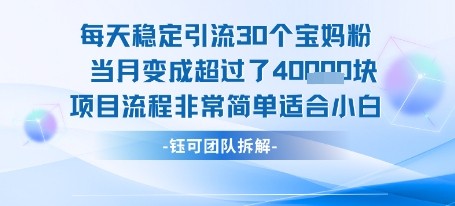 每天稳定引流30个人 当月变成超过了4个W项目流程非常简单适合小白-轻创终点站