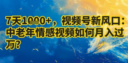 7天收益1k+，视频号新风口：中老年情感视频如何月入过W?-轻创终点站