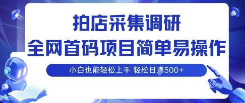 拍店采集调研，全网首码项目，简单易操作， 小白也能轻松上手，多账号操作，轻松日入5张【揭秘】-轻创终点站