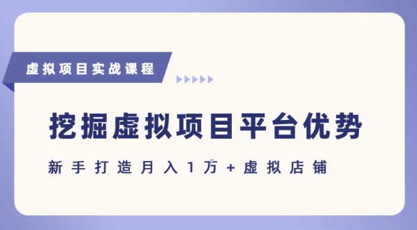 抓住虚拟项目各平台优势，新手轻松月入1W+(给出具体建议)-轻创终点站
