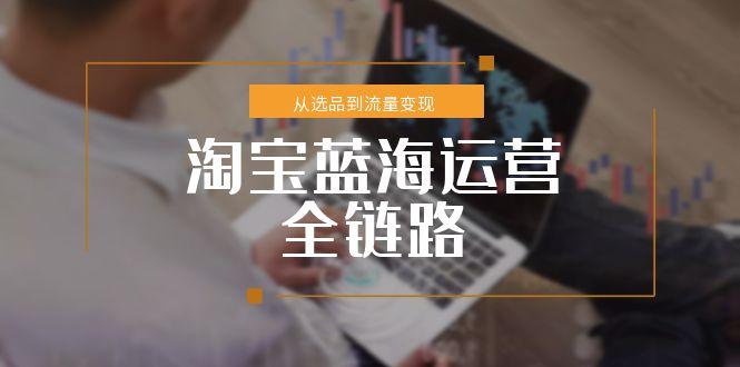 淘宝蓝海运营全链路，从选品到流量变现，小类目突围完整方案-轻创终点站