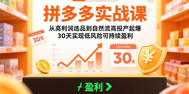 拼多多实战课：从高利润选品到自然流高投产起爆 30天实现低风险可持续盈利-轻创终点站