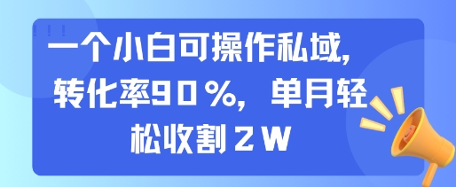 一个小白可操作私域，转化率90%，单月轻松收割2W-轻创终点站