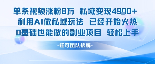 单条视频私域变现4.9k+利用AI做私域玩法 已经开始火热0基础也能做的副业项目轻松上手-轻创终点站