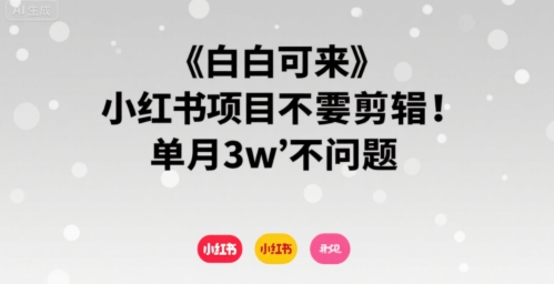 小白可来 小红书项目不需要剪辑 单月3w不是问题-轻创终点站