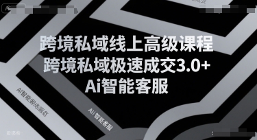 跨境私域线上高级课程，跨境私域极速成交3.0+Ai智能客服-轻创终点站