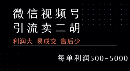 视频号卖二胡教程，利润大 易成交 售后少，一单利润5张+-轻创终点站
