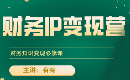 有有老师·财务IP变现营，财务知识变现必修课-轻创终点站