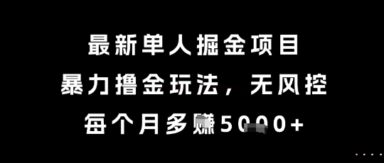 最新单人掘金项目，暴力撸金玩法，无风控，每个月多挣5k+【揭秘】-轻创终点站