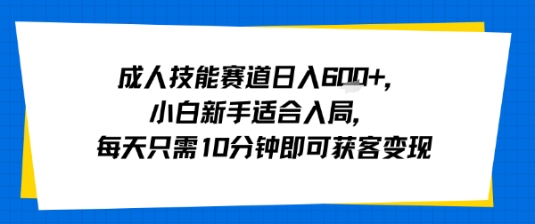 成人技能赛道日入多张，小白新手适合入局，每天只需10分钟即可获客变现-轻创终点站