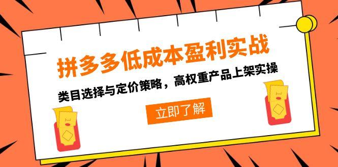 拼多多低成本盈利实战，类目选择与定价策略，高权重产品上架实操-轻创终点站
