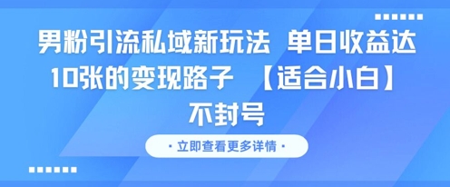 男粉引流私域新玩法，单日收益达10张的变现路子 【适合小白】不封号-轻创终点站