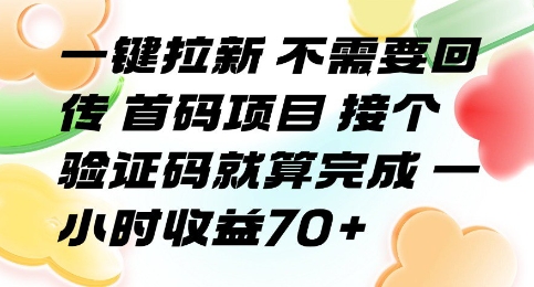 一键拉新 不需要回传 首码项目 接个验证码就算完成 一小时收益70+【揭秘】-轻创终点站
