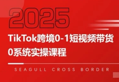 大亿老师·TikTok跨境0-1短视频带货-轻创终点站