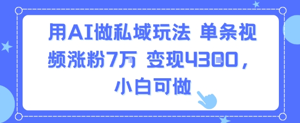 用AI做私域玩法，单条视频涨粉7W变现4.3k，小白可做-轻创终点站