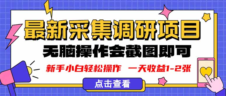 新版采集调研项目，截图上传即可，无脑操作，日收益1-2张-轻创终点站