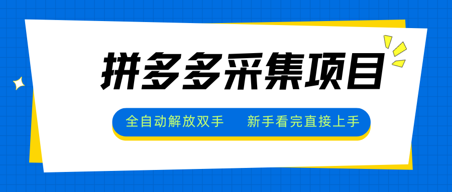 拼多多采集项目，全自动解放双手，单号日入30+-轻创终点站