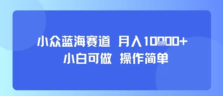 小众蓝海赛道，小白可做，操作简单，每天30分钟，月入1W+-轻创终点站