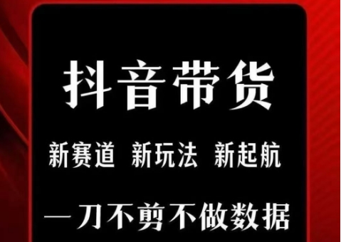 抖音短视频一刀不剪带货，不剪辑，不直播，每天发个视频，等着出单获取带货佣金-轻创终点站