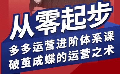 拼多多运营进阶系统课，从零起步，多多运营进阶体系课，破茧成蝶的运营之术-轻创终点站