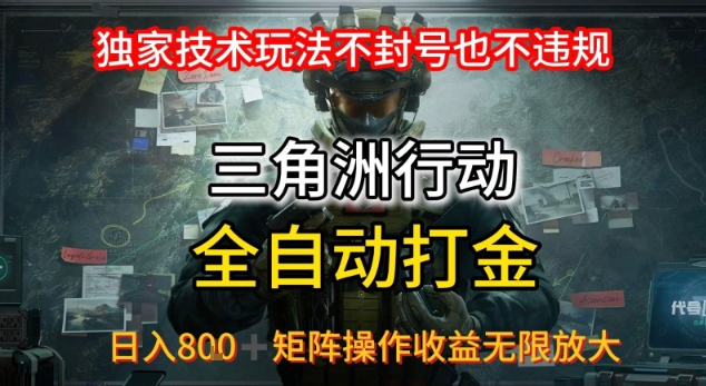 三角洲板砖揭秘项目免费送卡密-轻创终点站