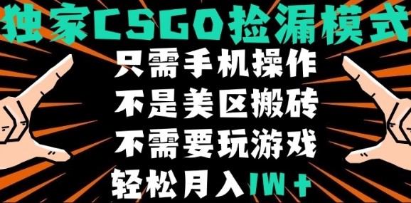 CSGO自动捡漏项目，最新独家玩法，不是美区搬砖，不需要了解和玩游戏，新手小白轻松月入1W+【揭秘】-轻创终点站