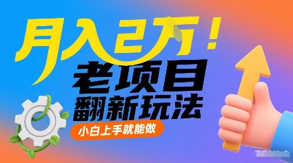 月入2W！老项目翻新玩法，小白上手就能做，非常容易上手-轻创终点站