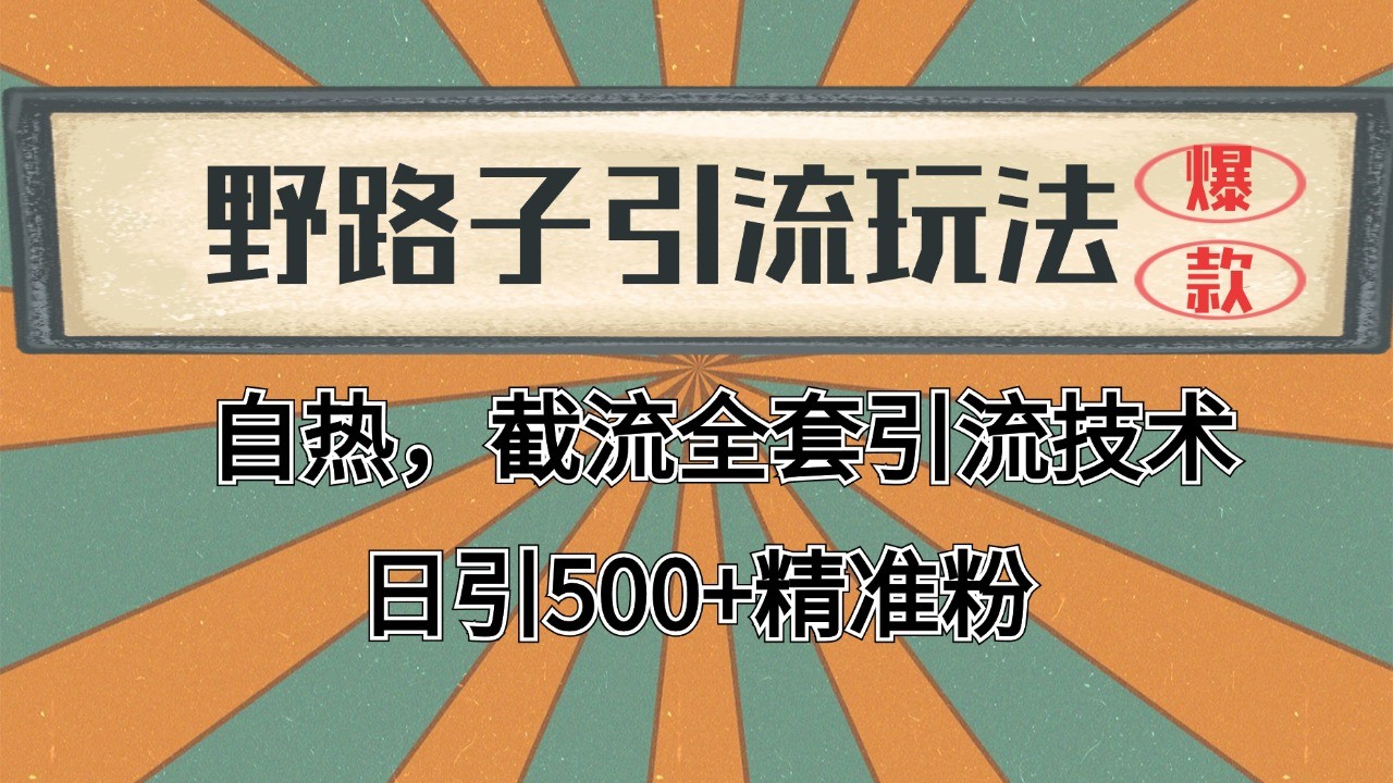 2024首发野路子引流玩法截流自热全平台打法，全自动引流【日引2000+精准客户】-轻创终点站