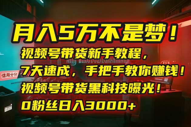 月入5万不是梦！视频号带货新手教程，7天速成，手把手教你赚钱！视频号…-轻创终点站