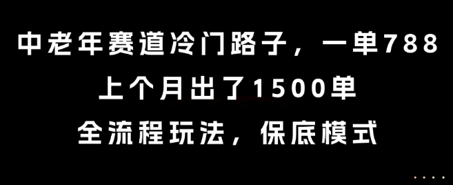 中老年赛道冷门路子，一单788，上个月出了1500单，全流程玩法，保底模式【揭秘】-轻创终点站